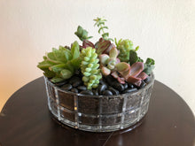 Load image into Gallery viewer, Succulent Bowl
